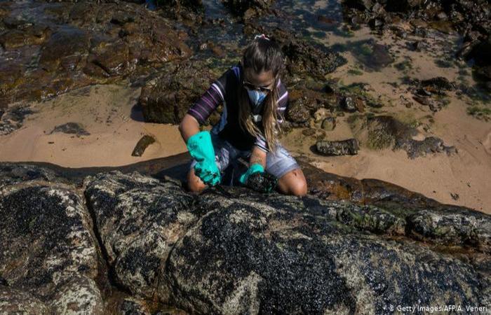 Voluntria remove leo da praia Pedra do Sal, na Bahia. (Foto: AFP)