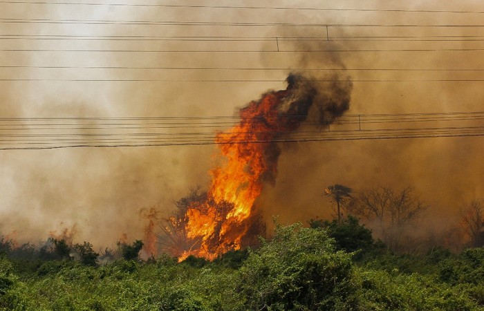 Ao todo, 33 bombeiros trabalham das 8h s 21h no campo para conter o fogo, alm de trs avies auxiliam jogando gua sobre as chamas (Foto: Chico Ribeiro / Mato Grosso do Sul State Government / AFP)