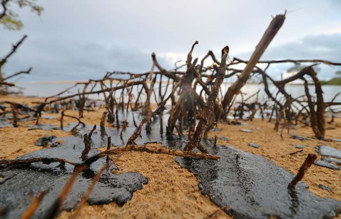 Mais de quatro mil toneladas de leo j foram retiradas de praias nordestinas. (Foto: Tarciso Augusto/Esp. DP)