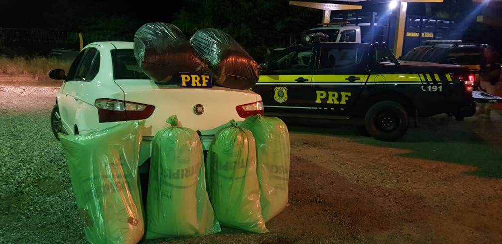 Motorista é detido transportando 120 quilos de maconha em Serra Talhada - Diário de Pernambuco