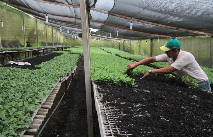 Associação comercial busca investir em novas tecnologias para o desenvolvimento do agronegócio no país (Annaclarice Almeida/DP) Associação comercial busca investir em novas tecnologias para o desenvolvimento do agronegócio no país (Annaclarice Almeida/DP)