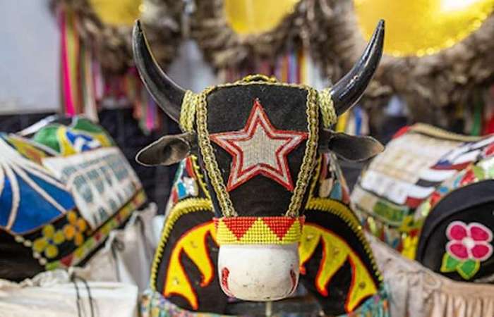 O Bumba Meu Boi  Patrimnio Cultural de Natureza Imaterial em Braslia (Foto: Thiago S. Arajo/Divulgao)