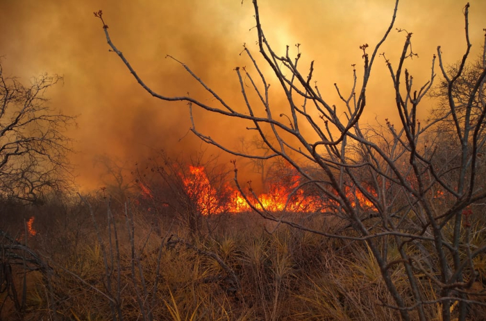 (Foto: Divulgação/Corpo de Bombeiros.) (Foto: Divulgação/Corpo de Bombeiros.)
