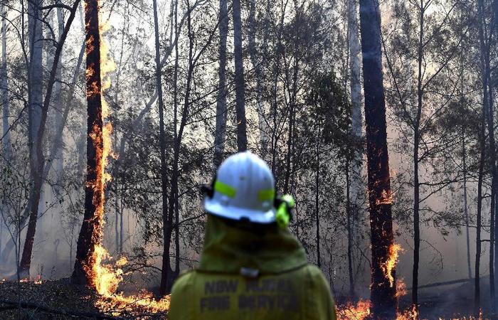 No vero, os incndios de ervas daninhas e de vrzea so frequentes na Austrlia, mas este ano comearam mais cedo. (Foto: Saeed Khan/AFP)