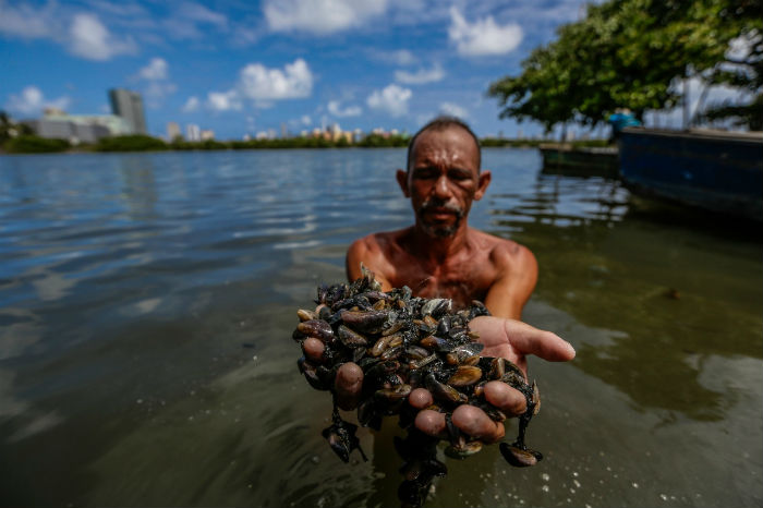 Joo Batista pesca e cata mariscos todos os dias, mas no consegue vend-los. (Foto: Paulo Paiva/DP.)