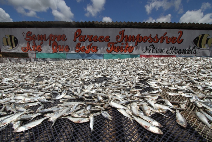 Pescadores vm tendo grandes prejuzos desde que o vazamento de leo se iniciou. Foto: Peu Ricardo/DP FOTO
