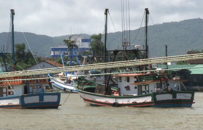 Pesca das espécias fica proibida até 15 de março (Foto: SBT Santa Catarina/Todos Direitos Reservados) Pesca das espécias fica proibida até 15 de março (Foto: SBT Santa Catarina/Todos Direitos Reservados)