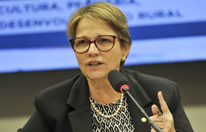 esta segunda-feira (18), o governo brasileiro divulgou dados consolidados que mostram o aumento recorde, de 29,5% em 12 meses, do desmatamento na Amazônia (Foto: Marcelo Camargo/Agência Brasil ) esta segunda-feira (18), o governo brasileiro divulgou dados consolidados que mostram o aumento recorde, de 29,5% em 12 meses, do desmatamento na Amazônia (Foto: Marcelo Camargo/Agência Brasil )