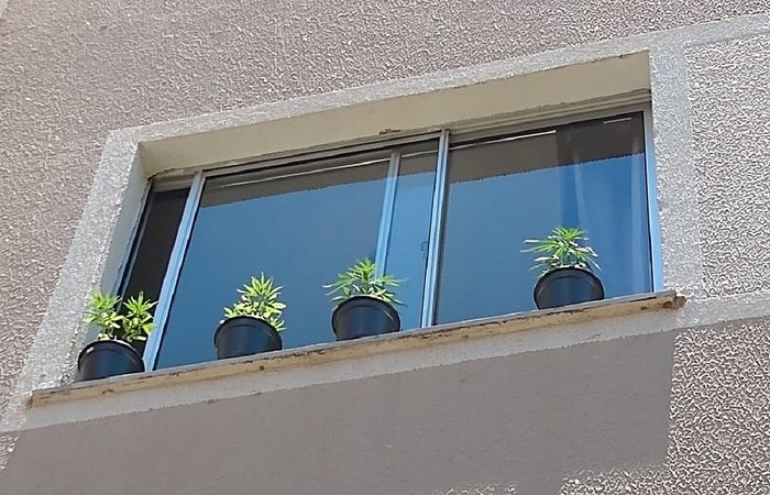 Segundo o boletim de ocorrncia, a Polcia Militar chegou at o imvel aps denncia annima dizendo que uma moradora do condomnio estaria cultivando maconha no apartamento (Foto: Arquivo Pessoal )