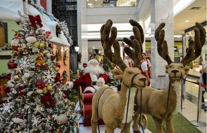 A magia está nas vitrines: lojas começam vendas de decorações de Natal |  Economia: Diario de Pernambuco