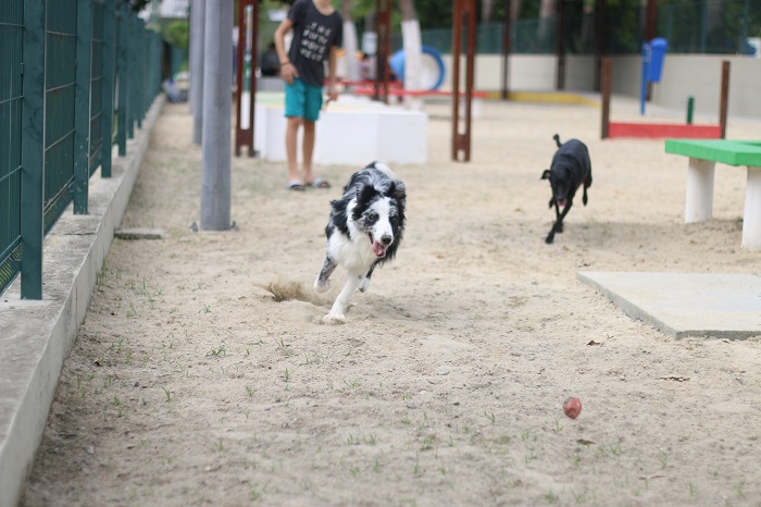 (Foto: Gabriel Melo / Esp. DP- LOCAL)