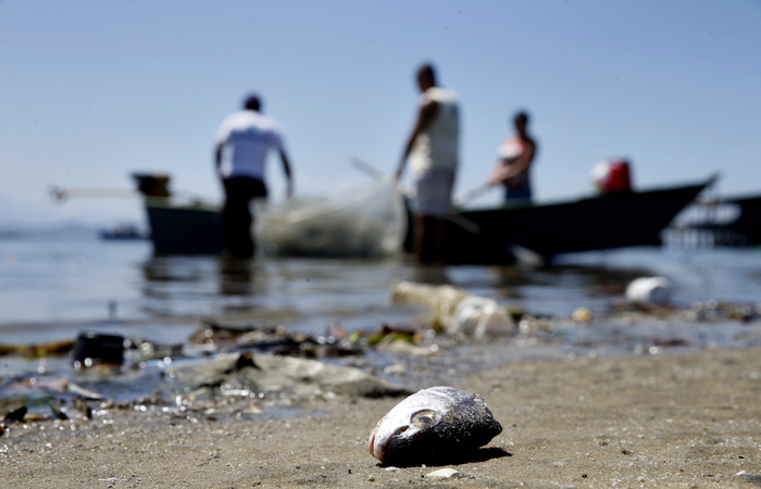 (Foto: Tânia Rêgo/Agência Brasil) (Foto: Tânia Rêgo/Agência Brasil)