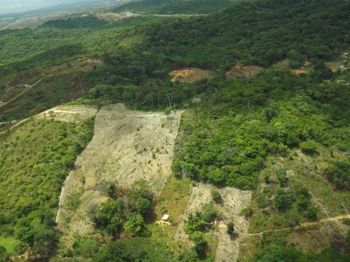 (Foto: CPRH) (Foto: CPRH)