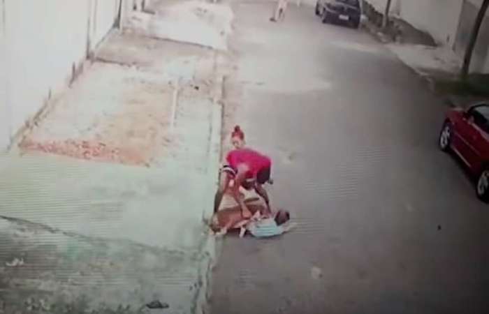 Nas imagens, a criança aparece com a babá quando o cachorro começa o ataque (Foto: Reprodução)