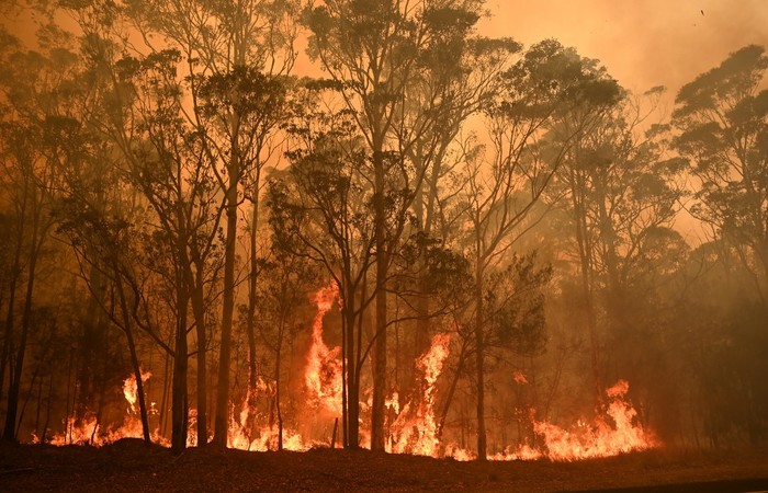  (Foto: PETER PARKS / AFP)