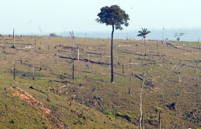 (Foto: Arquivo/Agència Brasil
) (Foto: Arquivo/Agència Brasil
)