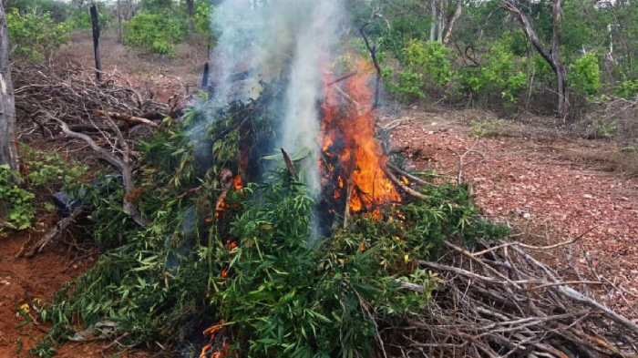 (Foto: Reprodução/PF.)