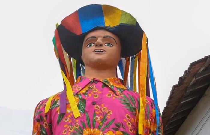 Na primeira vez que o boneco desfilou, caiu de cara no chão. (Foto: Leandro de Santana/Esp.DP) Na primeira vez que o boneco desfilou, caiu de cara no chão. (Foto: Leandro de Santana/Esp.DP)