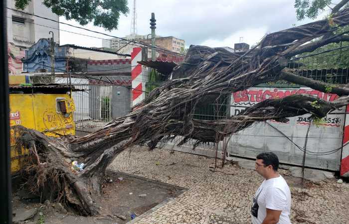 rvore caiu na rua Princesa Isabel (Foto: Peu Ricardo/DP)