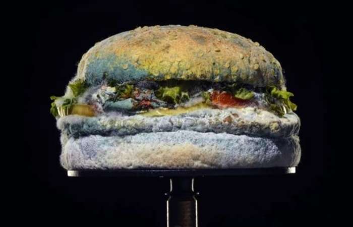 (Foto: Divulgação/Burger King) (Foto: Divulgação/Burger King)