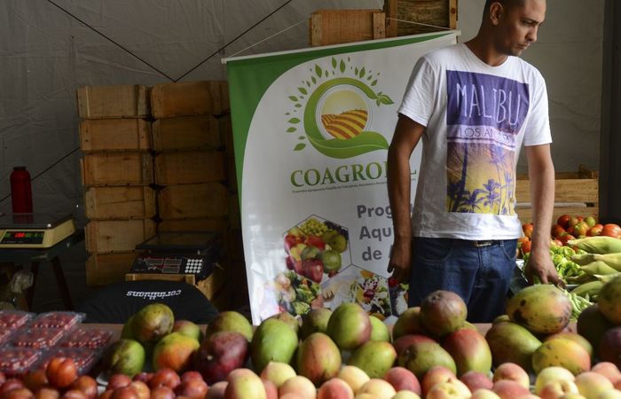 Prazo vale para declaraes vencidas de 25 de maro a 31 de dezembro. ( Foto: Rovena Rosa/Agncia Brasil)