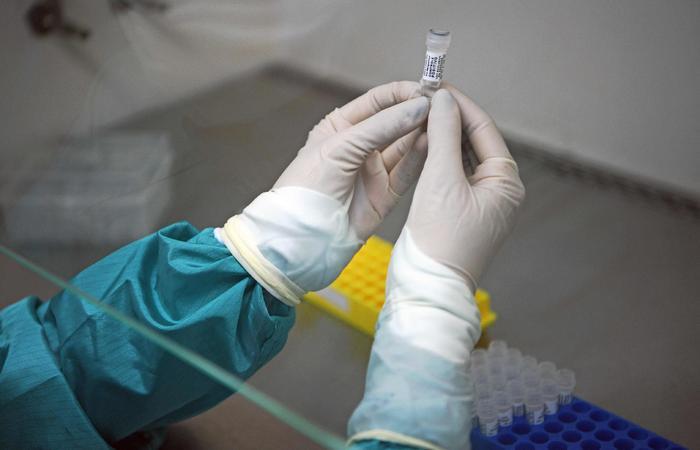 Pernambuco tem, de acordo com o último boletim, 223 casos confirmados e 30 mortes (Foto: Carl de Souza/AFP
) Pernambuco tem, de acordo com o último boletim, 223 casos confirmados e 30 mortes (Foto: Carl de Souza/AFP
)