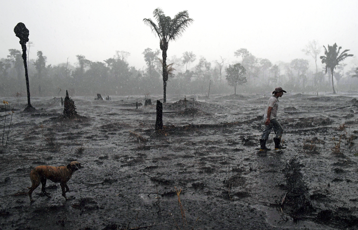 Desmatamento localizado em Porto Velho, em Rondônia. em área de floresta Amazônica. (Foto: CARL DE SOUZA / AFP)