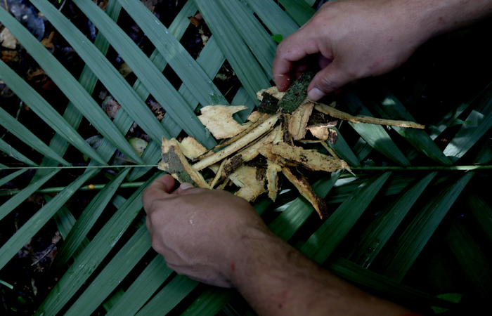 Foto: Ricardo OLIVEIRA / AFP