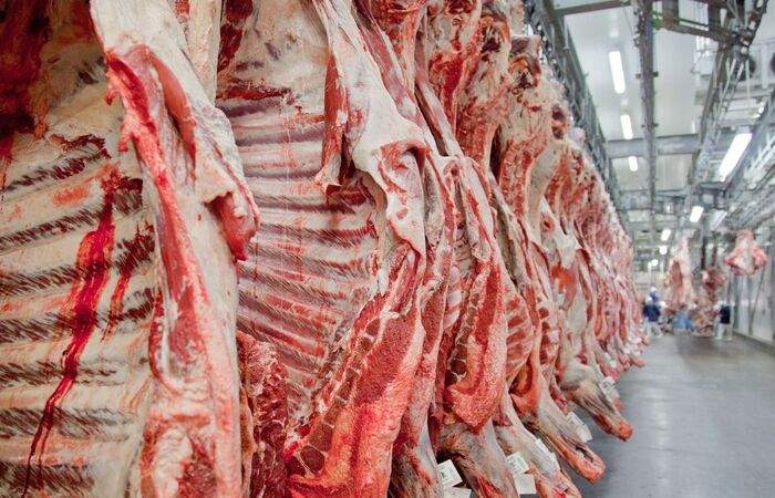 Durante a pandemia, o Brasil reabriu o mercado de carnes para o Kwait e, em fevereiro, para os EUA (Foto: Divulgao/Abiec)
