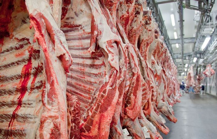 Durante a pandemia, o Brasil reabriu o mercado de carnes para o Kwait e, em fevereiro, para os EUA (Foto: Divulgação/Abiec) Durante a pandemia, o Brasil reabriu o mercado de carnes para o Kwait e, em fevereiro, para os EUA (Foto: Divulgação/Abiec)