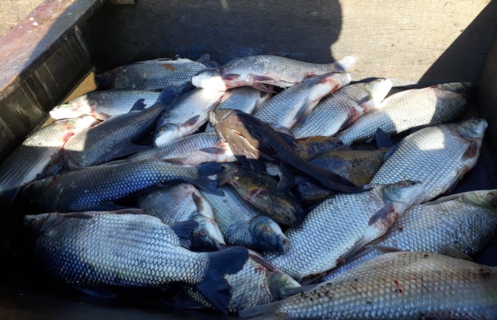 A queda das vendas j chegou a 90% em algumas regies (Foto: Conselho Pastoral da Pesca / Divulgao)