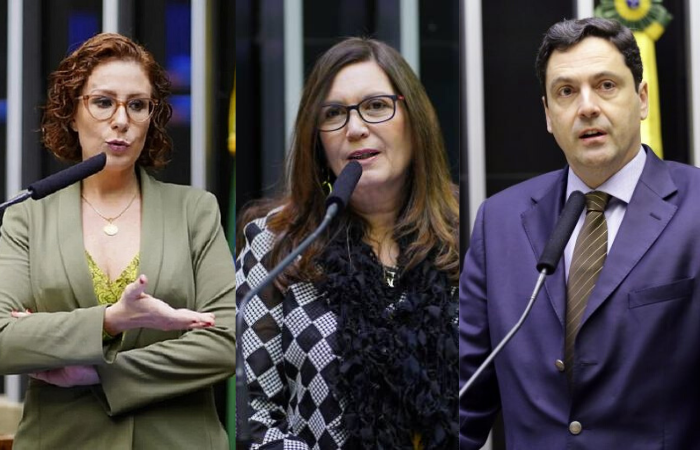 Deputados federais Carla Zambelli (PSL-SP), Bia Kicis (PSL-DF) e Luiz Phillipe Orleans e Bragança (PSL-SP).  (Foto: Divulgação/Agência Brasil)