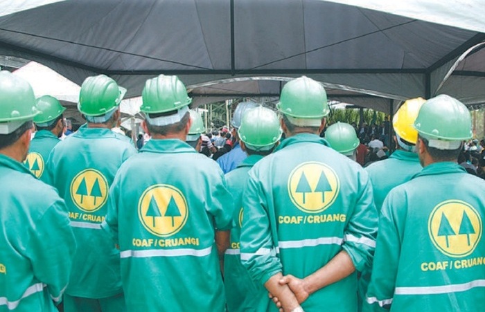 (Foto: COAF/Divulgação) (Foto: COAF/Divulgação)