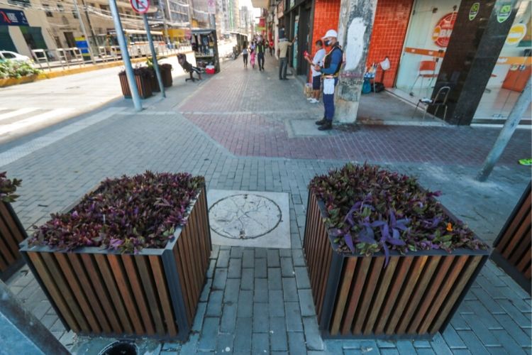 Com mais espaço para pedestre nas calçadas, avenida foi arborizada (Tarciso Augusto/ DP Foto) Com mais espaço para pedestre nas calçadas, avenida foi arborizada (Tarciso Augusto/ DP Foto)