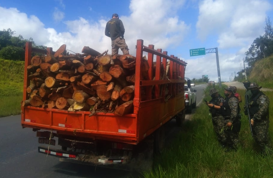 A Operação foi desenvolvida em sete municípios da Região Metropolitana do Recife (RMR) que decretaram a proibição da queima de fogueiras. (Foto: Divulgação/CPRH.) A Operação foi desenvolvida em sete municípios da Região Metropolitana do Recife (RMR) que decretaram a proibição da queima de fogueiras. (Foto: Divulgação/CPRH.)