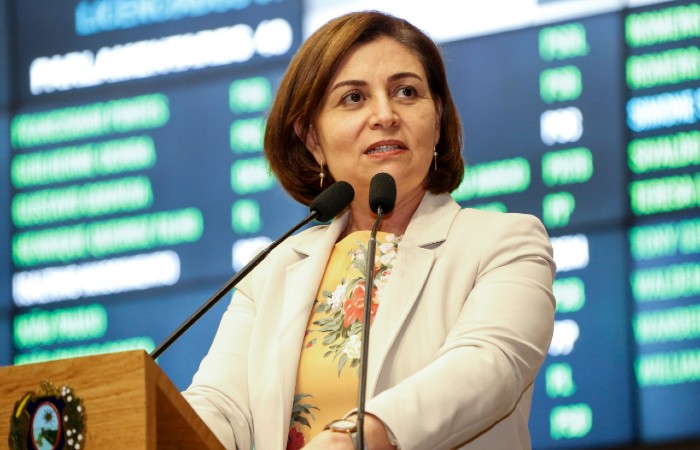 Parlamentar comemorou a sanção da Lei pelo Governo do Estado (Foto: Alepe / Divulgação) Parlamentar comemorou a sanção da Lei pelo Governo do Estado (Foto: Alepe / Divulgação)