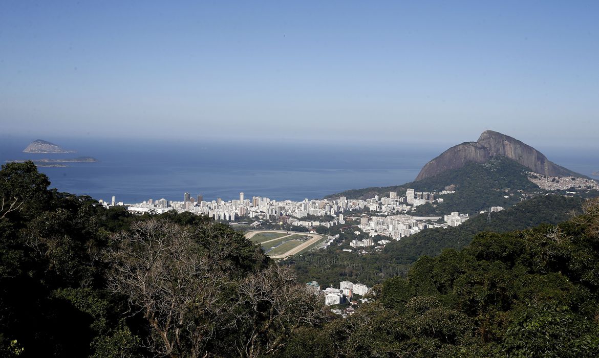 (Foto: Tânia Rego / Agência Brasil) (Foto: Tânia Rego / Agência Brasil)