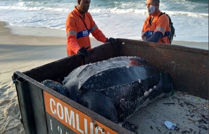  (Foto: Wallace Guerreiro/Arquivo Pessoal)