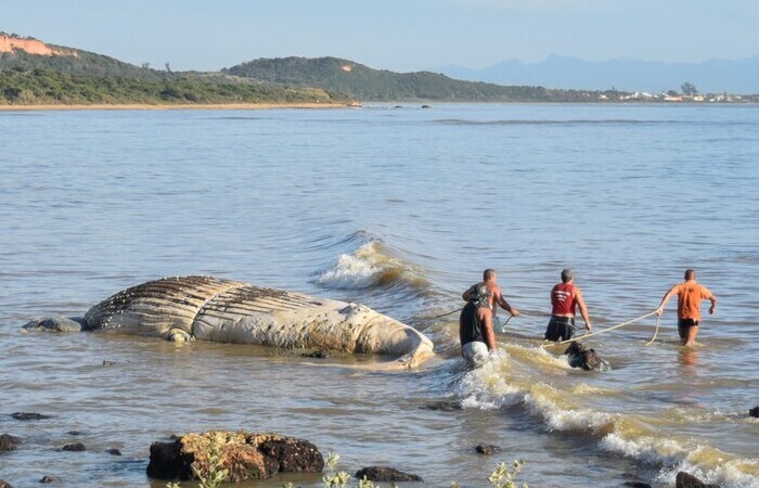  (Foto: Divulgao/ Prefeitura de Armao dos Bzios)
