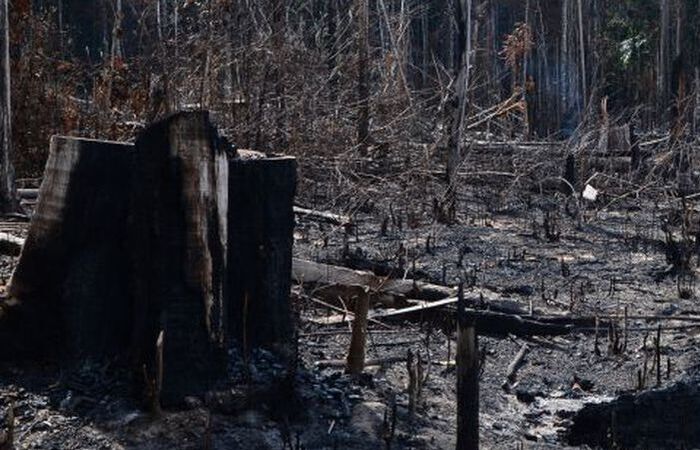 (Foto: Arquivo/Agência Brasil) (Foto: Arquivo/Agência Brasil)