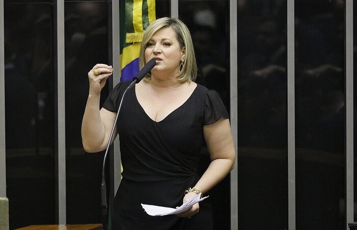  (Foto: Divulgação/Agência Câmara)