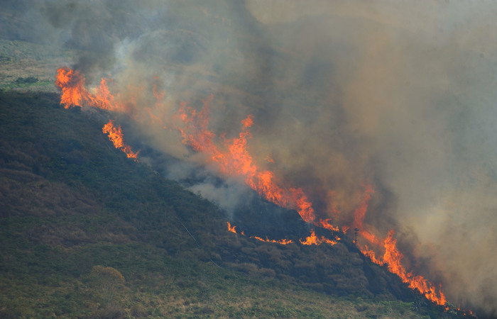 Em julho, o bioma apresentou crescimento de 28% no número de focos de calor em relação ao mesmo período de 2019. (Foto: Fernando Frazão/Agência Brasil) Em julho, o bioma apresentou crescimento de 28% no número de focos de calor em relação ao mesmo período de 2019. (Foto: Fernando Frazão/Agência Brasil)