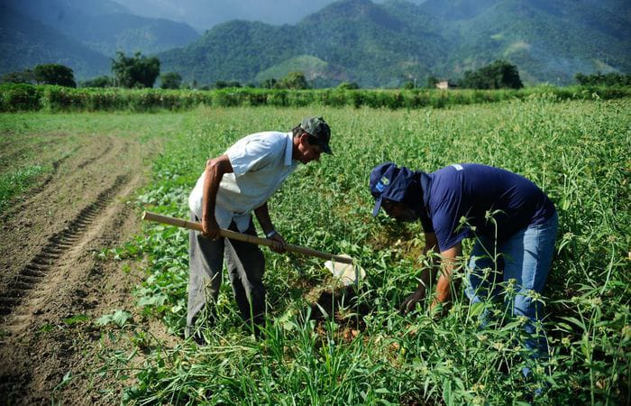 Com constantes variações mensais, em julho a tonelada alcançou seu maior valor este ano, chegando a R$ 103,57. Os custos da produção do período, entretanto, ficaram em R$ 131,93. (Foto: Tomaz Silva / Agência Brasil) Com constantes variações mensais, em julho a tonelada alcançou seu maior valor este ano, chegando a R$ 103,57. Os custos da produção do período, entretanto, ficaram em R$ 131,93. (Foto: Tomaz Silva / Agência Brasil)