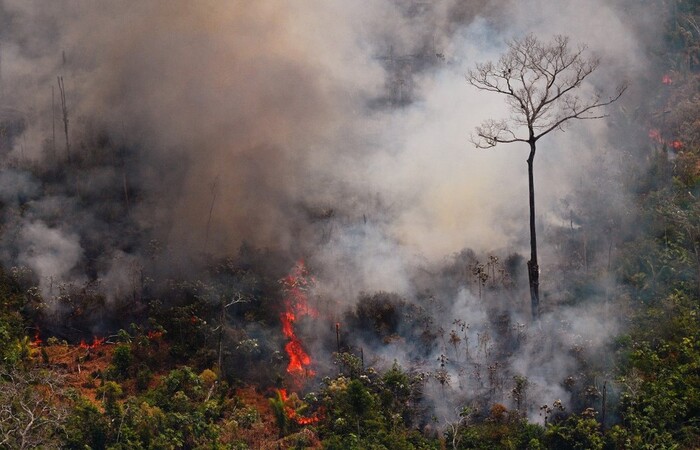 (Foto: Carl de Souza/AFP) (Foto: Carl de Souza/AFP)