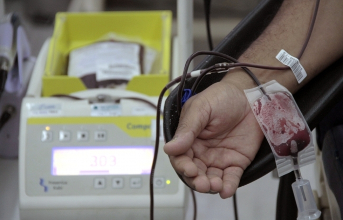 Estrutura será montada atendendo normas sanitárias.
(Foto: Divulgação/Hemope.
) Estrutura será montada atendendo normas sanitárias.
(Foto: Divulgação/Hemope.
)