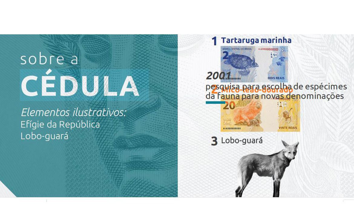(Foto: Banco Central / Divulgação)