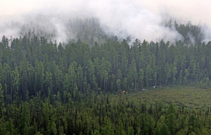 (Foto: Russian Federal Agency of Forestry/AFP)) (Foto: Russian Federal Agency of Forestry/AFP))