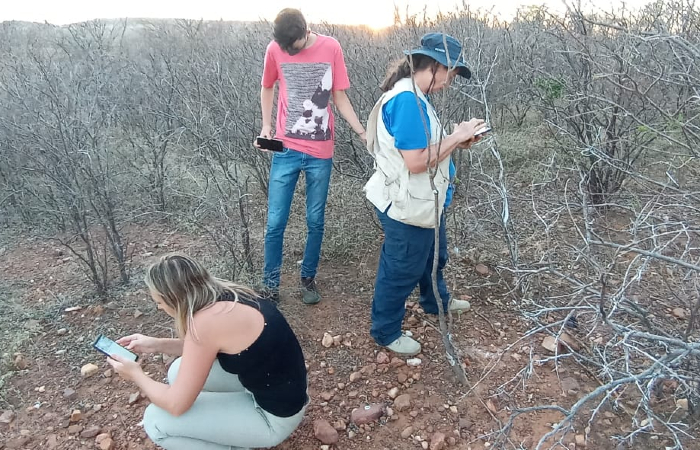 Buscas aconteceram nos ltimos 15 dias, desde que meteorito caiu (Foto: Cortesia/Luiz Fernando de Castro Souza.)