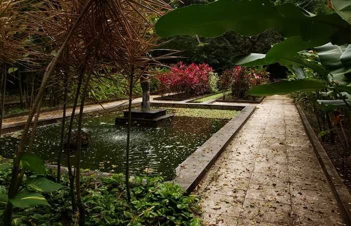 PE Jardim Botânico