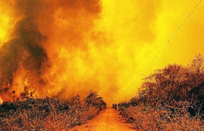 Dados consolidados do Inpe apontam que o bioma, que arde em chamas, registrou 14.489 queimadas de 1º de janeiro até 12 de setembro, contra 4.660 no mesmo período do ano passado. Verbas diminuirão em 2021 (Foto: Mayke Toscano/Secom-MT) Dados consolidados do Inpe apontam que o bioma, que arde em chamas, registrou 14.489 queimadas de 1º de janeiro até 12 de setembro, contra 4.660 no mesmo período do ano passado. Verbas diminuirão em 2021 (Foto: Mayke Toscano/Secom-MT)